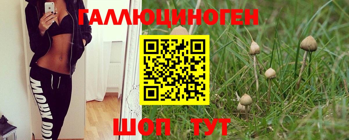 Находка  Галлюциногенные грибы мухоморы  Вход с VPN 